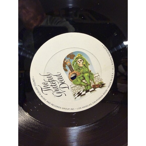 Grateful Dead Steal Your Face Original Vinyl 2xLP GD-LA620-J2 1976  Garcia Weir - Picture 13 of 15